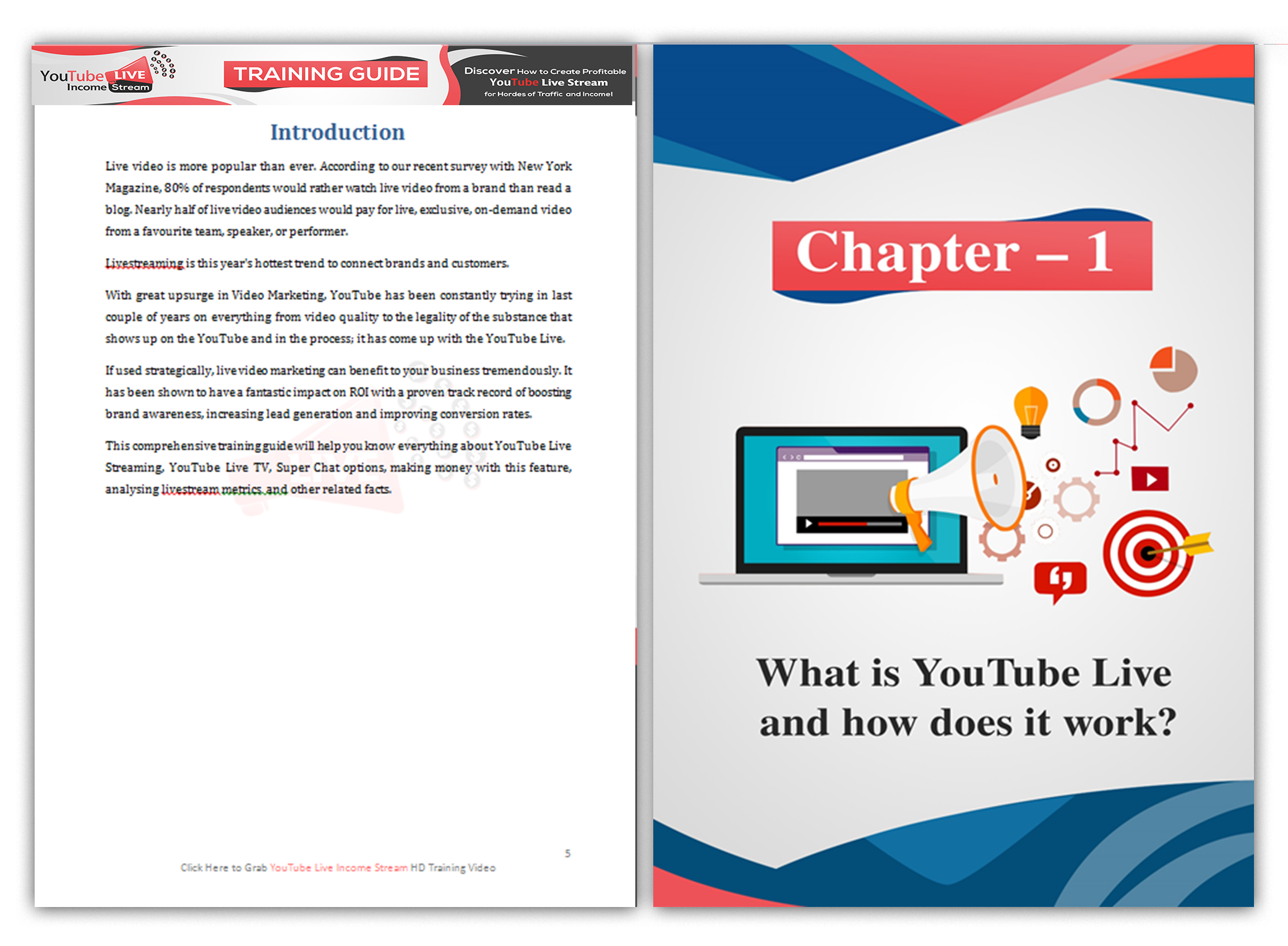 Youtube Live Income Stream With Plr - written by professionals here s what we are going to provide in this massive info packed premier training guide